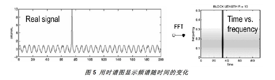 1631000986749393.jpg rtp-9.jpg